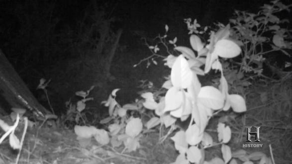 被野兽送走的男人们——荒野独居第一季 总结出一个大佬荒野生存经验,六个字“侦-水-所-火-生-升”#荒野独居 #荒野求生 #荒野生存 #荒野求生 #荒野