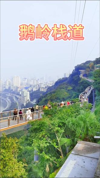 #鹅岭栈道
带大家电子游玩鹅岭栈道