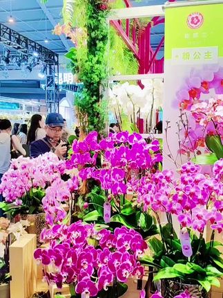 2025年9月19日,第23届中国昆明国际花卉展于昆明滇池国际会展中心开展。#昆明#花卉展#旅游#必打卡景点