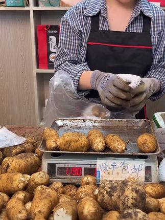 云南昭通小草坝新鲜乌天麻 现挖现发保质保鲜包邮#新鲜乌天码#小草坝乌天麻#现挖现发#爱生活爱美食 #好东西一起分享