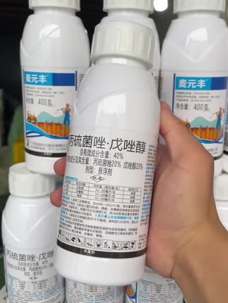 甘蔗管理#甘蔗 #甘蔗种植