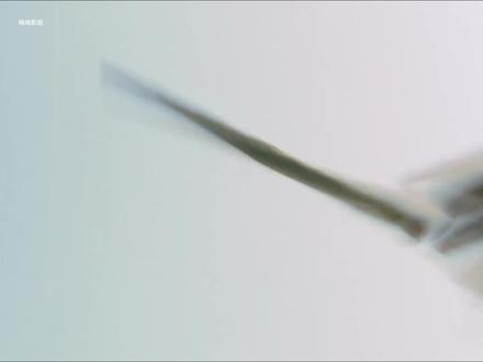 水浒最顶级的贵人局!柴进助林冲,藏着乱世最清醒的生存智慧 #因为一个片段看了整部剧#dou来看好剧#影视解说#水浒传#电视剧解说