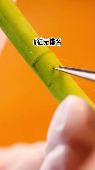 徒无虚名#小说 #小说推荐 #拯救书荒 #古言 #宝藏小说