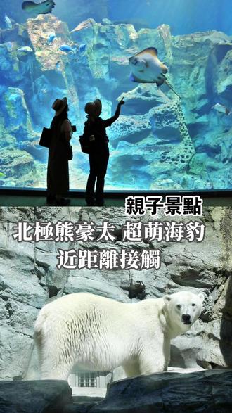 沉浸日本海的蔚藍秘境~與北極熊豪太、超萌海豹近距離接觸! 秋田縣男鹿市,除了生剝鬼文化與男鹿半島壯闊的自然景觀之外,「男鹿水族館GAO」更是這片土地的驕傲,也是秋田縣唯一的水族館,坐落在日本海邊,這座水族館不僅能欣賞海洋生物,還能飽覽日本海的遼闊景致,絕對是旅行中不可錯過的療癒景點;館內擁有超過800噸水量的「男鹿海大型水槽」,將整個日本海的縮影呈現在眼前,無論是親子旅遊還是情侶出遊,這裡都能帶來驚喜。
⛳男鹿水族館GAO/Oga Aquarium GAO
地址: Tsubogasawa-93 Togashiohama, Oga, Akita 010-0673日本
電話號碼:+81 185-32-2221
營業時間:09:00–17:00
#日本 #熱門 #男鹿水族館 #水族館 #景點推薦