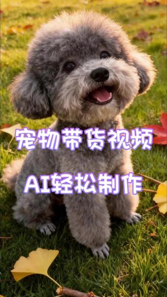 宠物带货视频,用AI轻松制作#AI #萌宠 #带货 #宠物带货 #宠物