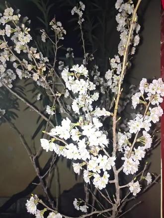 我就这样结束了我忙碌的三月。#三月 #取景器里的世界 #feelingmyworld