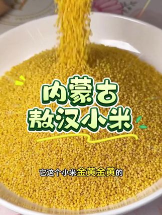 敖汉小米,买过一次就要回购的敖汉小米,真的很满意都是厚厚的米油#敖汉小米#黄小米