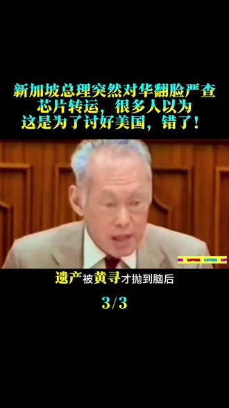 新加坡总理突然对华翻脸,严查芯片转运。很多人以为这是为了讨好美国,错了#时事点评 #时事评论 #国际时事热点及评论 #全球看点 #军事科普