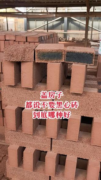 红心砖vs黑心砖 你觉得哪种砖才是真正的好砖?#建筑材料 #生产车间现场 #黑心砖 #砖