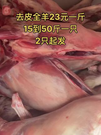 去皮全羊23元一斤，15到50斤一只，2只起发#全羊 #去皮全羊 #牛羊肉批发 #支持全国发货