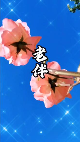 家人们,要想老来有伴,晚年有福,从现在就要开始积攒,夫妻之间,少争一句对错,多给对方盛一碗热饭;少摆一次冷脸,多为晚归的人留一盏暖灯。好好善待身边的老伴,珍惜这份来之不易的缘分,才是这辈子最该做的事,也是晚年最大的福气。#夫妻#老来伴#了凡四训#家庭#珍惜枕边人