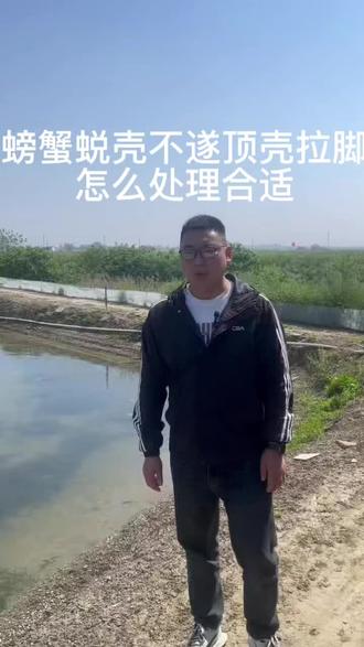 二壳蜕壳不遂,顶壳拉脚怎么处理合适,二壳提升螃蟹成活率的关键阶段。#螃蟹 #大闸蟹#鱼虾蟹养殖