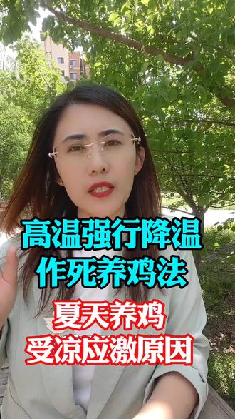 高温强行降温作死养鸡法,夏天养鸡受凉应激的根本原因 #养鸡知识 #养鸡人 #科学养鸡