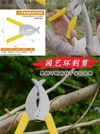 园林环切刀果树环割刀环剥剪果树环割剪刀环割刀环割剪环剥剪割树皮剪刀#环割刀 #果树环割刀 #果树环割 #树枝环创#环割剪