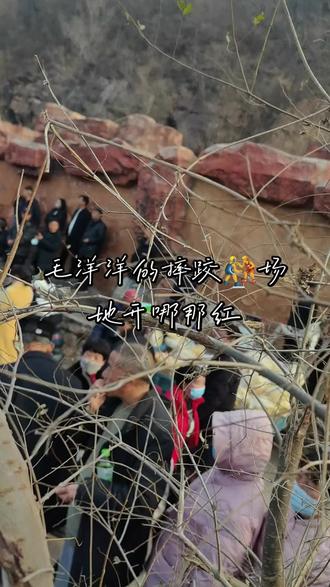 毛洋洋的摔跤🤼场地万人围观,热闹及了。