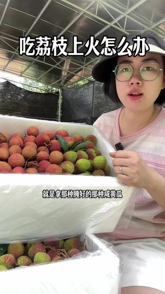 吃荔枝上火怎么办#荔枝 #妃子笑荔枝 #白糖罂荔枝 #荔枝采摘 #吃荔枝上火