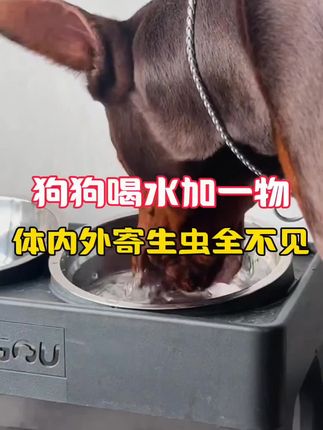 牧蓝天虫净宠物猫犬通用驱虫饲料原料蛔虫绦虫线虫虱子螨虫#提前准备 #好物推荐🔥 #宠物 #宠物用品 #驱虫