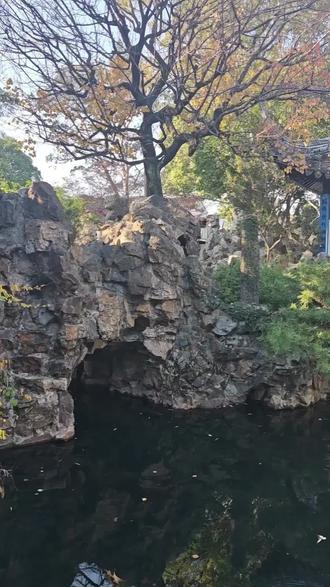 今日份苏州园林由贺老师讲解!!!!#苏州 #记录真实生活 #生活 #旅游 #原创视频