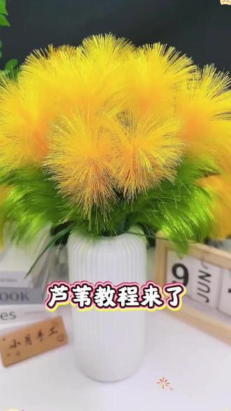 (买2单送剪刀)双色芦苇花材料手工DIY材料包【送花瓶】