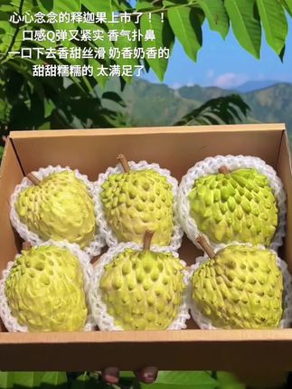 本土狗第一次吃释迦果!没想到一口就沦陷了😭!一开始买回来没熟,放几天有小黑点了就能开吃,口感Q弹又紧实,香气扑鼻,一口下去香甜丝滑,奶香奶香的,巨甜糯!巨满足!冰一下就像吃冰淇淋!真的太好吃了,没吃过的家人一定要尝尝#释迦果 #口感特别好 #新鲜应季水果 #精品水果 #你们吃过吗