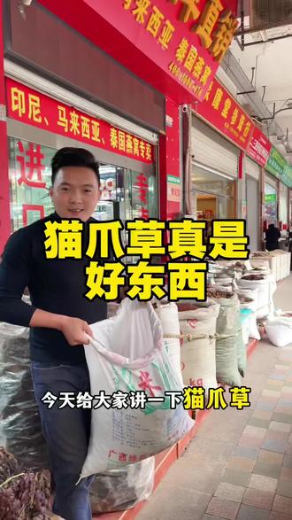 #猫爪草 #猫爪草祥细分享 #猫爪草煲汤