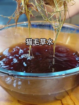 潮汕猫毛草,炎炎夏日,喝点凉水啦 #潮汕大妈 #力落大妈 #猫毛草#蛇舌草