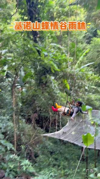 泼水节到西双版纳游玩 小众旅游路线 基诺山蜂情谷雨林 不一样的体验 太棒了 回归大自然的感觉……#基诺山蜂情谷雨林徒步 #西双版纳泼水节#雨林徒步 #西双版纳旅游 #泼水节攻略