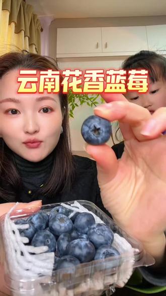 云南原产地直发 现摘现发 又脆又甜自带花香,嘎嘎好吃!新鲜!#花香蓝莓#云南蓝莓#新鲜应季水果#尝鲜