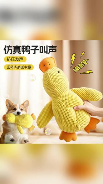 哪只狗狗还没有一只小黄鸭? #狗狗玩具 #宠物毛绒玩具 #萌宠好物推荐 #发声玩具 #鸭子