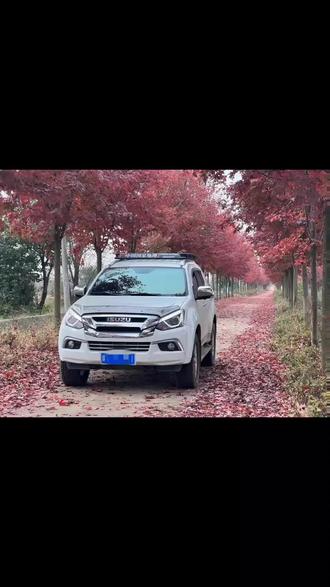#五十铃牧游侠 #牧游侠 1.9五十铃牧游侠排气管改直排,司机反馈比原车还爽!反而油耗还降低了4.多!五十铃确实是个好车