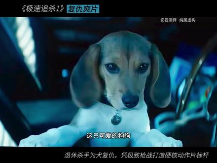 爱犬为念,铁血杀手怒掀狂潮。 #疾速追杀 #JohnWick #爱犬复仇 #杀手宇宙 #C.A.R 射击法 #硬核动作片 #枪战美学 #约翰威克 #孤独杀手 #疾速追杀系列 #高桌会 #动作电影标杆 约翰是顶尖杀手,枪法、战术无懈可击,但他的专业性背后,是对 “生存意义” 的深层叩问。他的每一次精准射击,既是职业本能的体现,也是对 “如何在绝境中活下去” 的回答。当他以 C.A.R 射击法、莫桑比克技巧屠戮敌人时,动作越 “专业”,越反衬出他对 “非杀手身份” 的渴望 —— 他用最擅长的方式战斗,却在战斗中不断叩问:除了杀戮,自己还能以何种姿态存在?这种自我审视,让他的角色跳出了 “动作爽片主角” 的范畴,成为一个在暴力中寻找自我的复杂个体。 这些内心层面的特质,让约翰・威克不再是一个单纯的 “打星符号”,而是一个在黑暗中挣扎、在规则中突围、在孤独中坚守人性的悲剧英雄。他的故事之所以动人,正是因为观众能从他的暴力与挣扎里,看到对 “爱、自由、自我” 的普遍渴望。