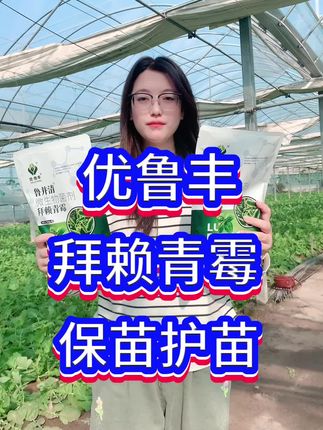 优鲁丰拜赖青霉保苗护苗 优鲁丰拜赖青霉保苗护苗