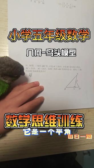 小学数学思维训练,每日一题,几何-鸟头模型#数学思维 #数学 #小学生作业 #奥数#五年级数学