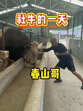 看看粉丝真实反馈,拉骨架好用。@小猴子与春山 @牛人春山哥 #三农 #好物推荐🔥 #养牛人