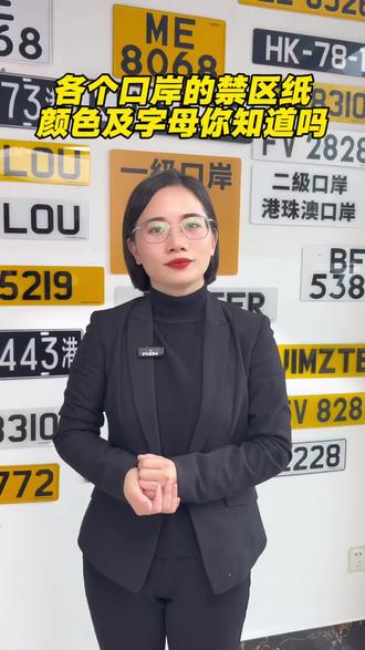 各个口岸的禁区纸颜色有何不同?#粤车南下#港车北上#东莞追星名车#FU车牌#粤Z牌