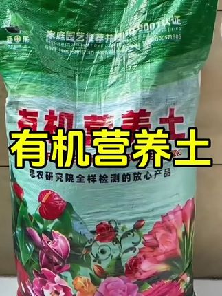 爸爸优秀孩子一定优秀,孩子80%的缺点都来源于爸爸#育儿经验分享 #家长必读 #父母课堂#亲子关系 #好爸爸