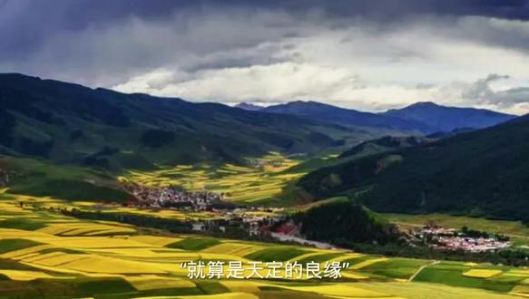 “霍烬……你抱抱我吧……”
季池眼眶有些湿,纤长的黑睫裹上润意。
“我等了你好久…好久……”
“你抱抱我吧……”
那轻颤的语气荡着委屈,清冷的眸子多了私心
如何让人不动容。
霍烬眼眸深处的情绪波动沉浮,兵荒马乱。
季池的话让霍烬诧异。
他看着面前的人儿,还没开口说些什么,颈脖
就被季池抱住。
两人的距离被无限拉近。
无声亦有声。
霍烬怔住须臾。
这样的距离太过久违。
近到可以闻到季池身上的体香味,附在水面的
梅子酒,清淡却无法抹去,根深蒂固的味道浓烈的
让人浮想联翩。
熟悉的信息素让霍烬心口发涩。
他曾经多想在季池清醒的时候站的离他近一些
啊。
可季池从未给过他机会。
他现在只想远离。
季池死死地拽住霍烬的后颈的衣裳。
手上的力道将霍烬的领子捏出褶皱。
好似无处发泄,只想将人拽的紧一点,再紧一
点。
他抓住的不是人,是随时都会溜走的烟云缭
绕。
霍烬的呼吸在季池耳畔渐渐灼热。
“喝多了?”他问。
季池摇头:“我没有。”
“你知道你在干什么吗?”霍烬醇厚的声音响起,
季池脑袋动了动。
季池脑袋埋在霍烬颈间,闷着调子,“我知道…
“知道的……”
霍烬的手紧紧攥起。
#好书分享 #文荒推荐 #小说推荐 #拯救书荒 #推文 ,别名《注意禁止豪门小少爷》,番,,茄,畅,,听