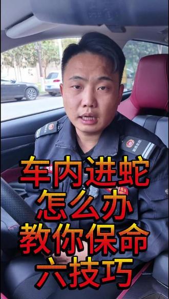 车里突然窜出一条蛇 你怕不怕 #车内异物 #驾驶安全 车内异物