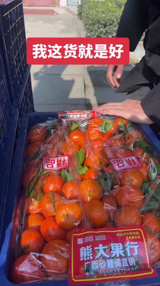 皮薄水大,甜,广西砂糖橘名气大 #嘛姥爷#砂糖橘