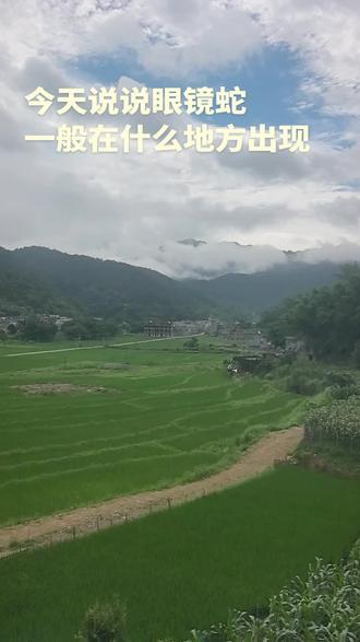 今天说说 眼镜蛇一般在什么地方出现 #今天#说说#眼镜蛇#一般#在什么地方出现