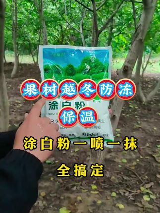 果树 大树 苗木越冬就选它,保温防冻预防冬季各种问题的发生#树干涂白粉#益植牛优选#果树管理#苗木越冬
