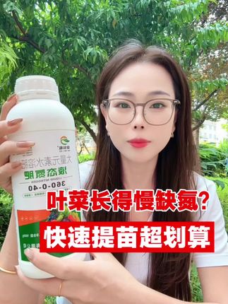 叶菜缺氮黄化?液体氮肥来救急!1 瓶兑水 600 斤,快速提苗超实惠~#液体氮肥