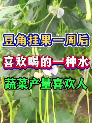 #种植小技巧 #农业种植 #三农 #种菜小技巧