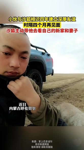 小狐狸带男子去自己的新家见了它的漂亮妻子 “四个月未见 我们还是很好的朋友”