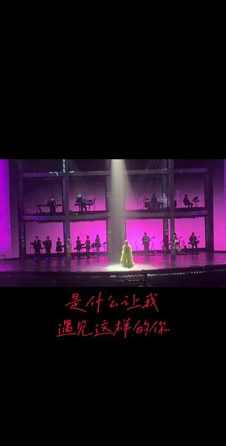 是什么让我遇见这样的你。#谢娜#演唱会