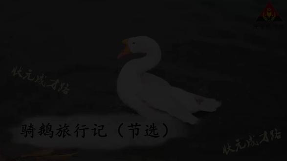 六年级语文下册课文朗读《6.骑鹅旅行记(节选)》#六年级 #课文朗读 #语文资料 #人教版 #状元成才路