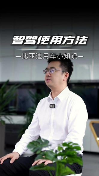 比亚迪智驾怎么使用?一个视频聊明白#比亚迪 #BOSS传播官 #用车知识 #新能源汽车