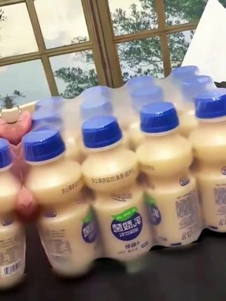 乳酸菌 13.9 元 12 瓶 #益生菌 #乳酸菌 #夏日饮品 #平价好物