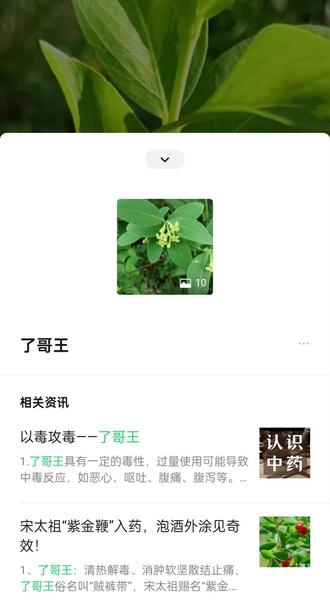 认识大名鼎鼎的👍了哥王👍所有病症全跑光
