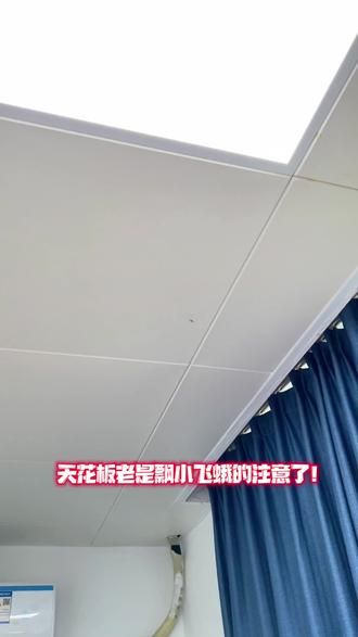 天花板老是飘小飞蛾的注意了! 这是米蛾,学名印度谷螟,家里有它,干货粮食全遭殃!幼虫像小蛆,专啃米面、干果、中药材,成熟变飞蛾后满屋子乱飞,躲吊顶、橱柜缝产卵,繁殖超快,不处理只会越变越多。
怎么处理?
分两步:先把所有生虫变质粮食干货打包丢掉,彻底断掉虫源;再用专用无色无味谷蛾杀虫剂!#天花板像蛆一样的虫子 #厨房飞蛾 #印度谷螟怎么消灭 #天花板的飞蛾 #印度谷螟杀虫剂